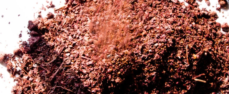 Ginebra de uva