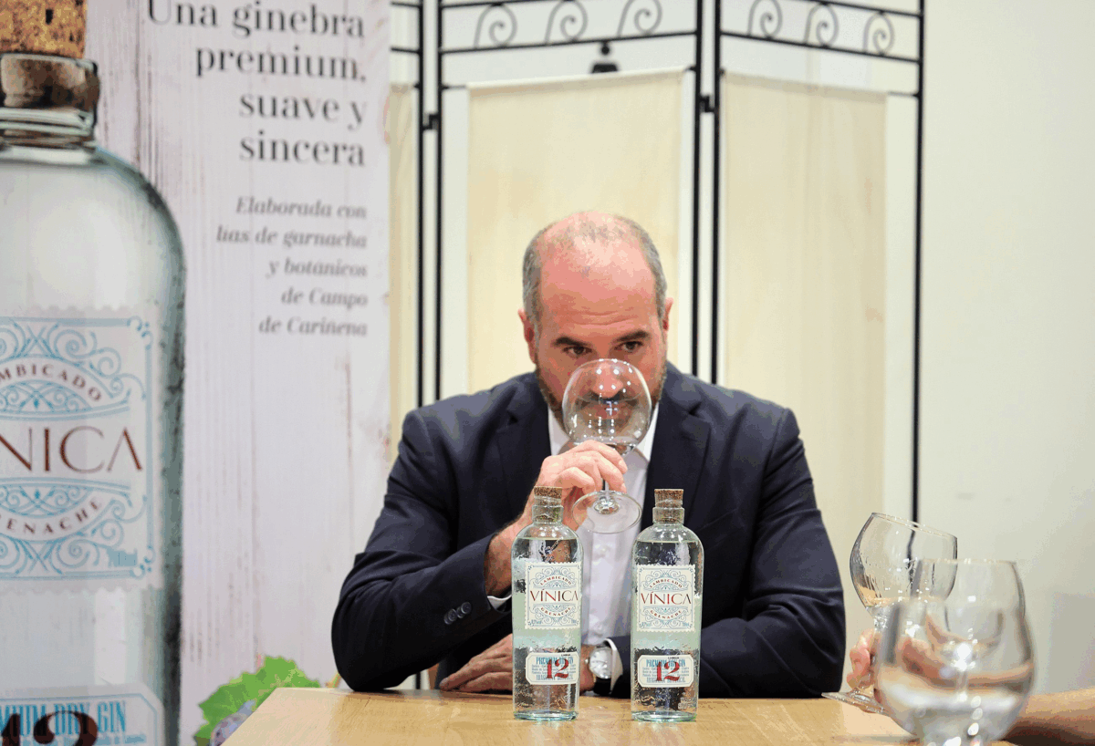 gin-tonic