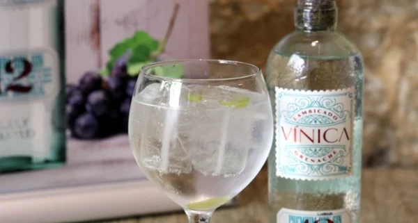 Gin d’Aragon