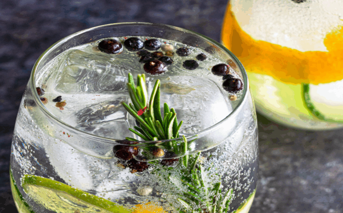 gin-tonic