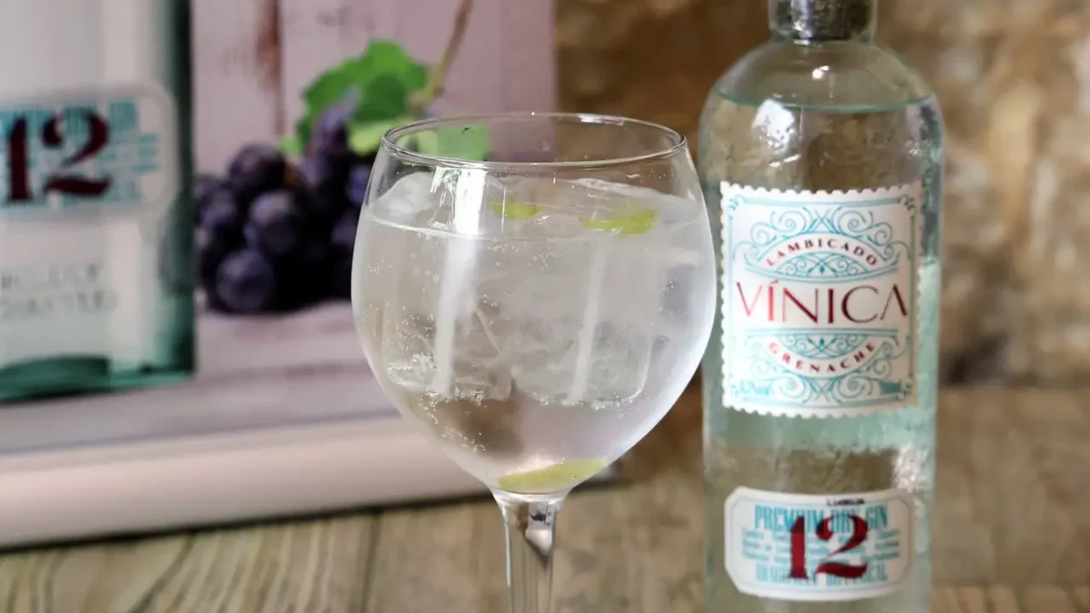 gin-tonic