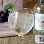 gin-tonic